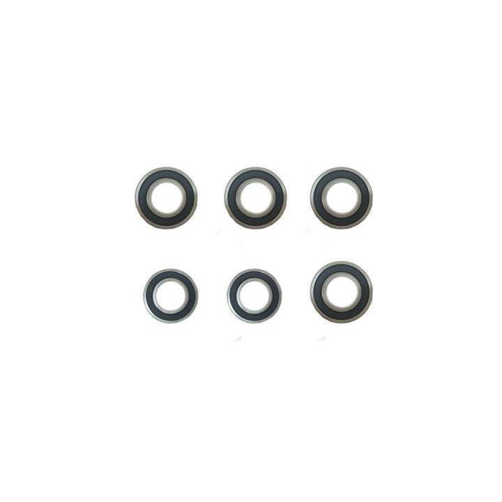 Importator unic BERG in Romania-Set rulmenti  karturi 5+ ani