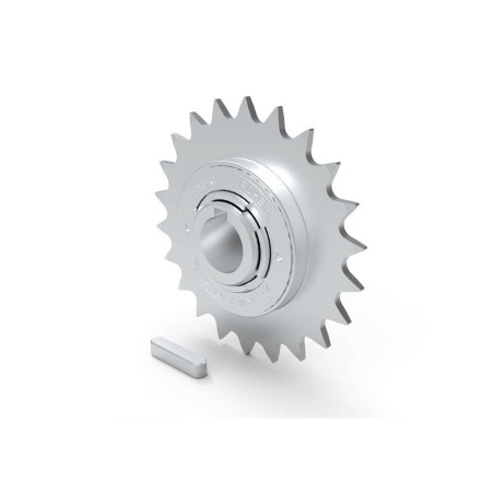 Importator unic BERG in Romania-Pinion Grantour