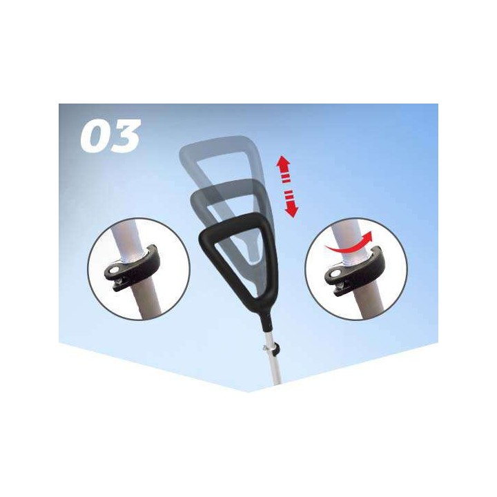 Importator unic BERG in Romania- Berg Buzzy Bloom 2 in 1