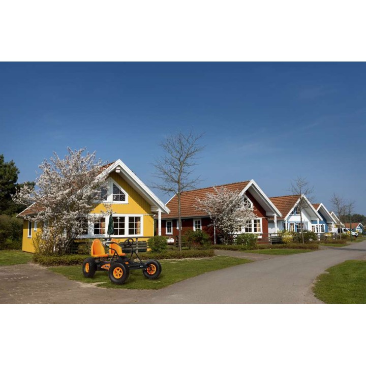 Kart BERG Duo Coaster BFR